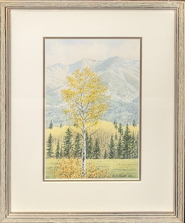 300 Aspen, South of Pagosa Springs