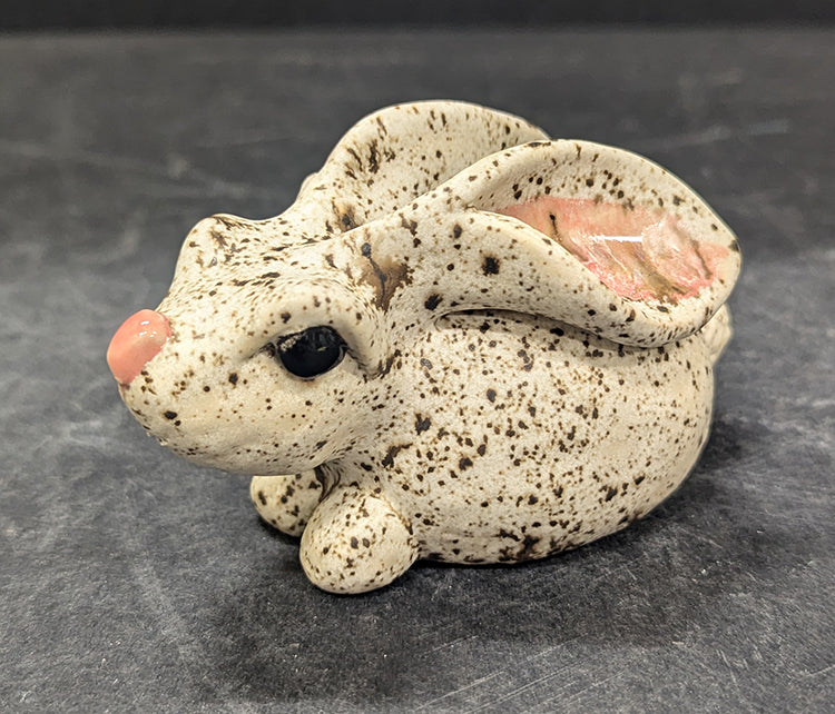 2335 Speckled Bunny