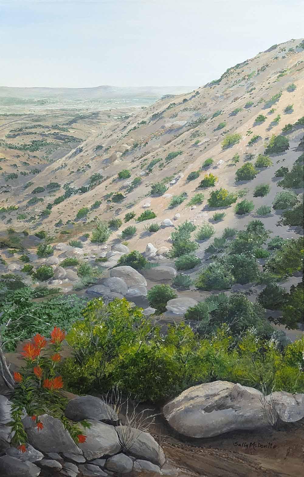 163 Is that a bike trail? High up!