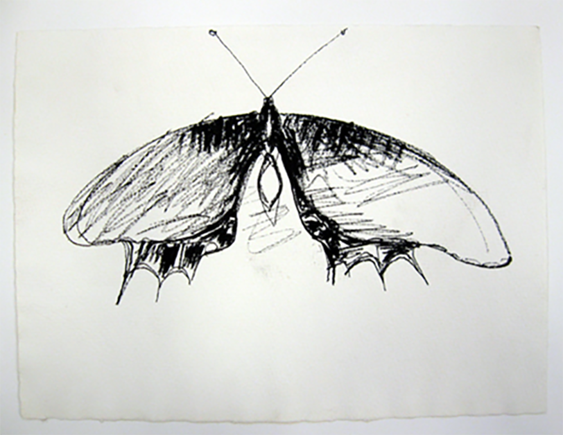 untitled (Moth)