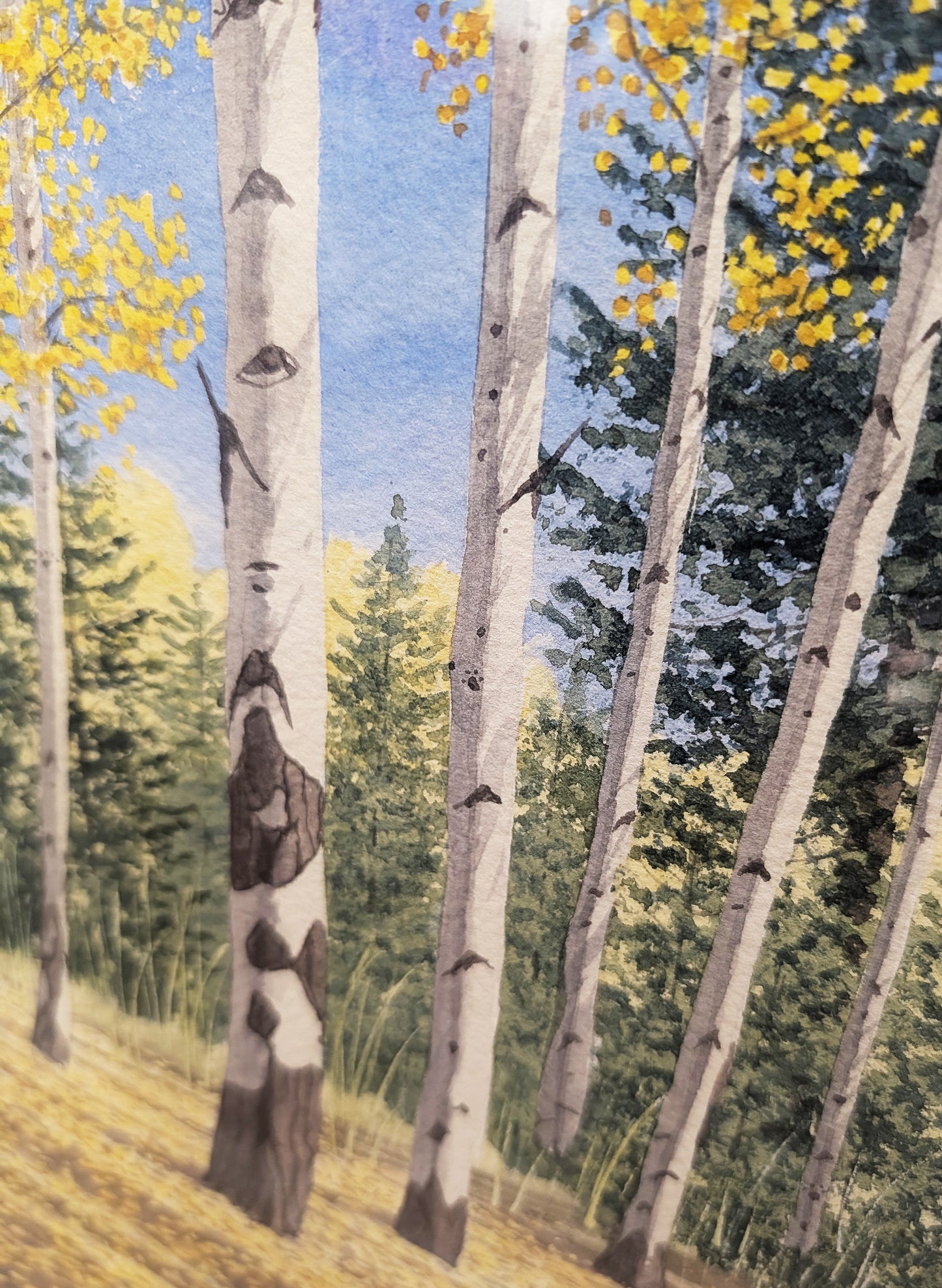 Leaf Fall on the N. Rim