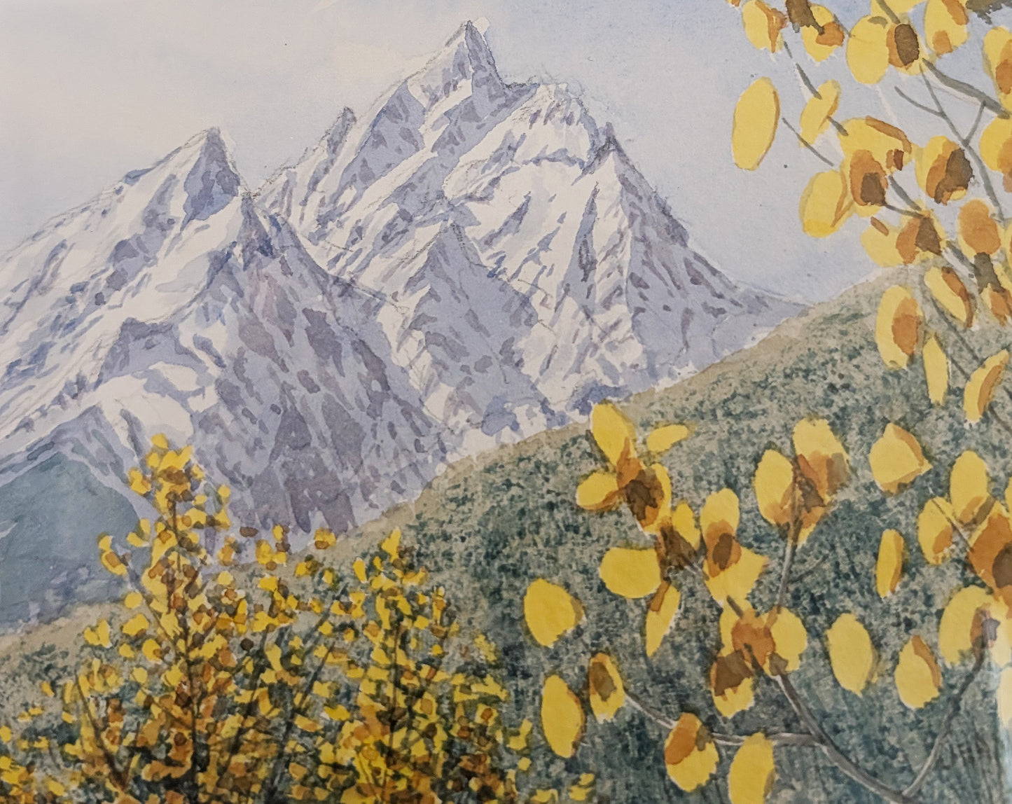 Tetons, from the Ridge