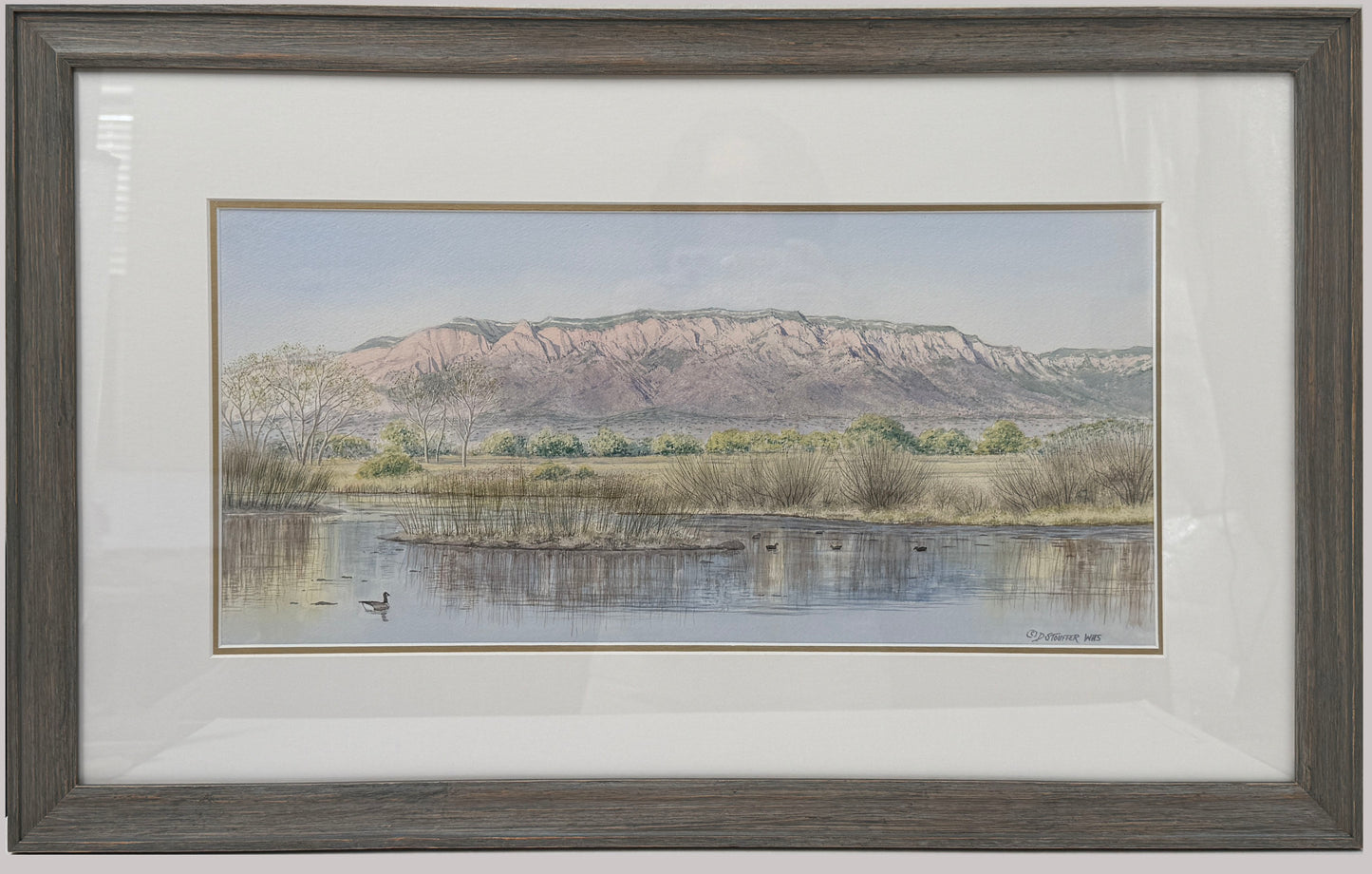 Sandias, From the Rio Grande Nature Center