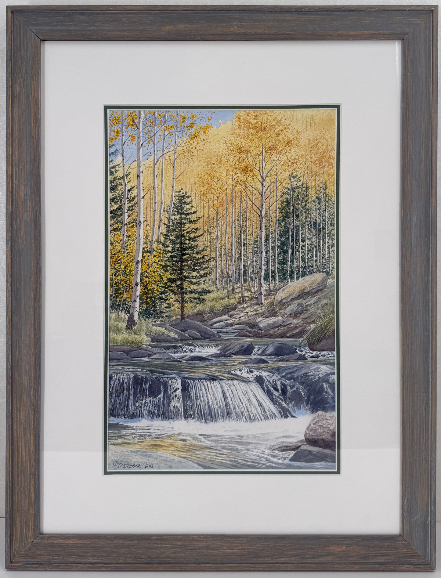 Glacier Creek in Rocky Mountain National Park