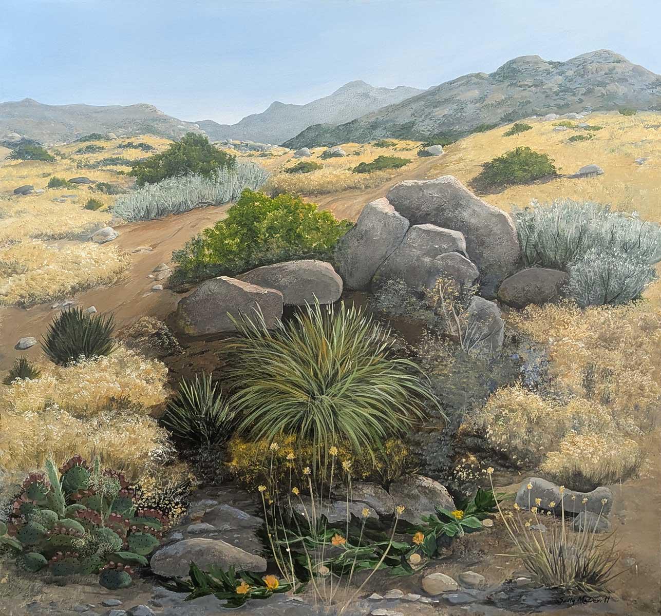 164 Sandia Foothills Arroyo