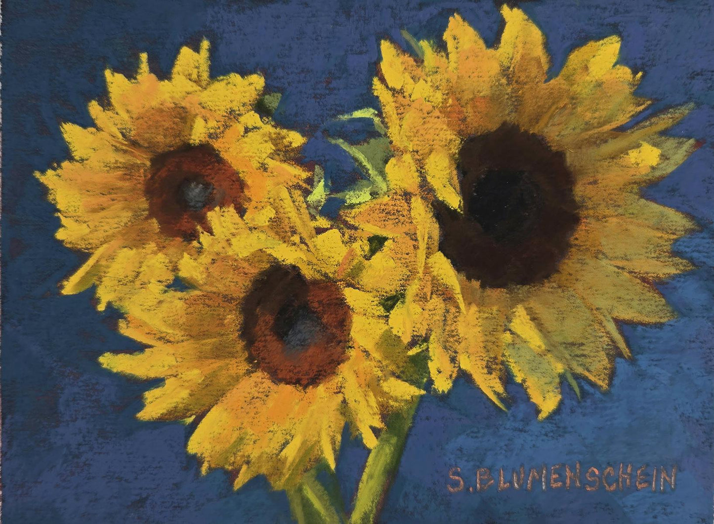 616 Sunflower Study