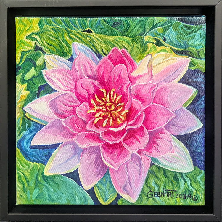 57 Water Lily 1