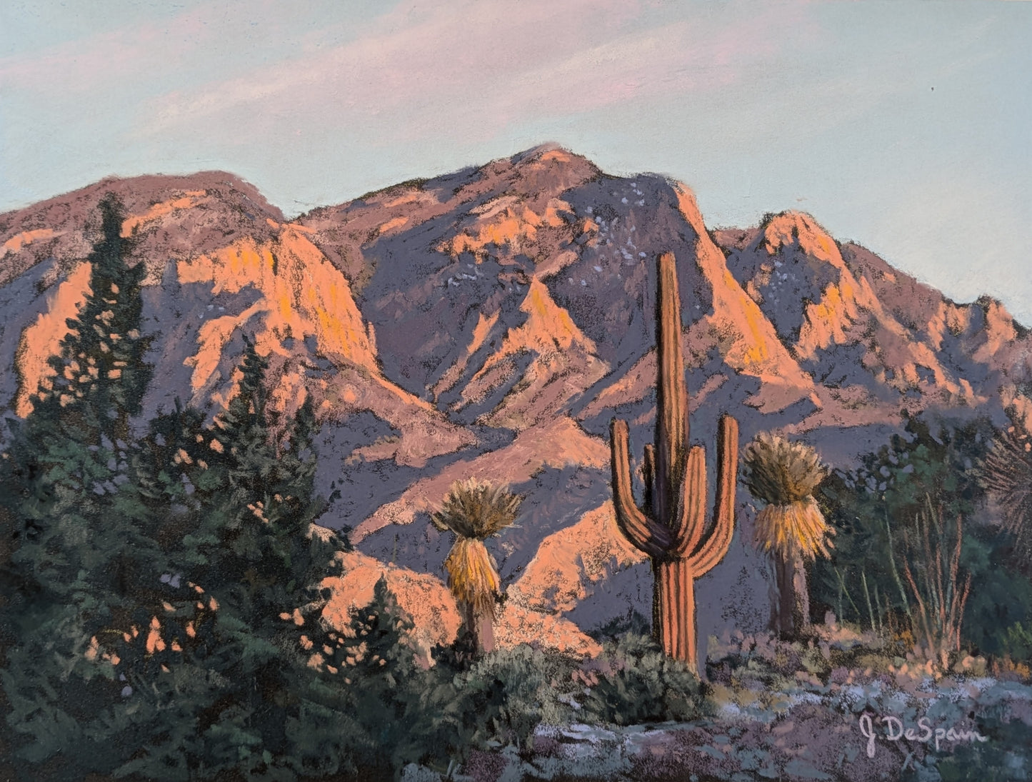 Sandia Saguaro