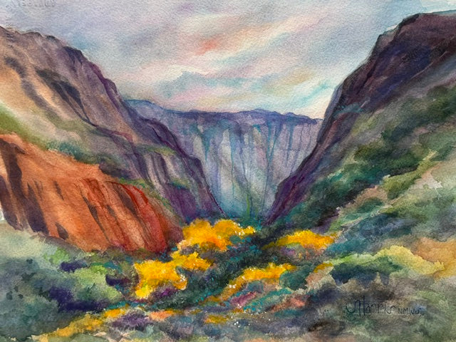Frijoles Canyon