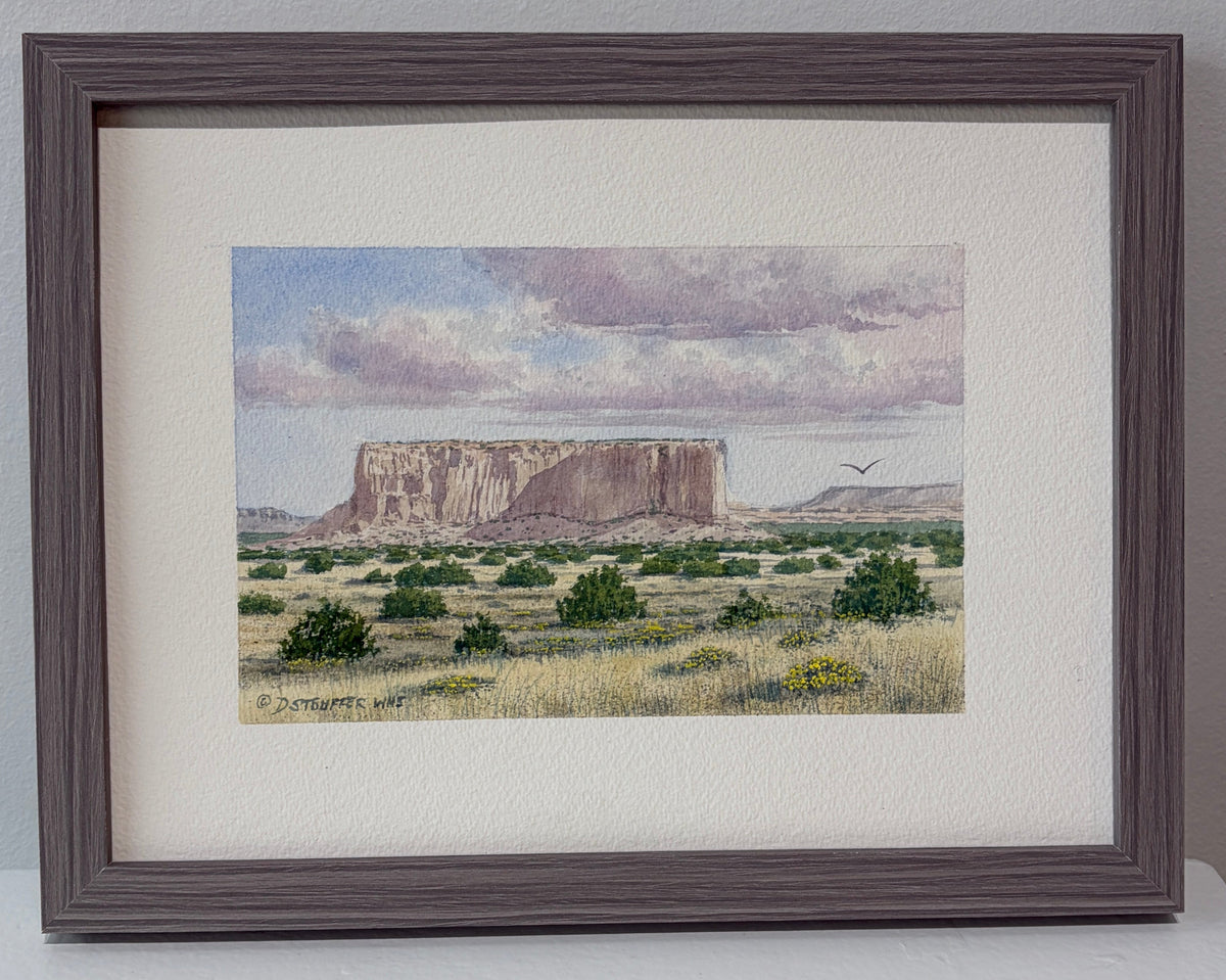 Enchanted Mesa