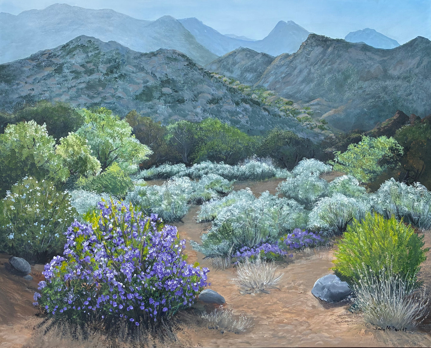 Peaceful Verbena