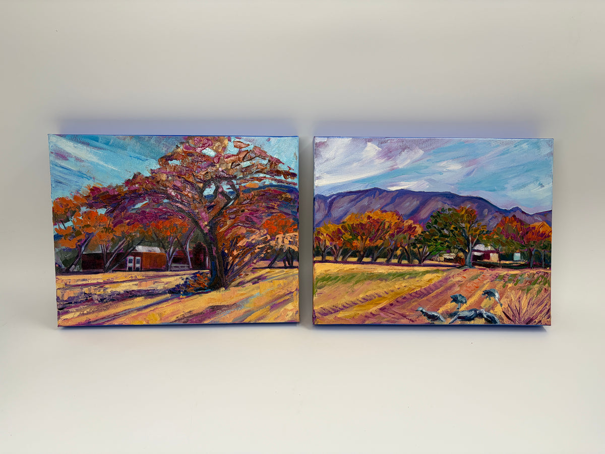 Adobe and Autumn Sun