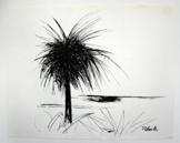 Untitled-Palm