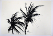 Untitled-Palms