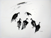 Untitled-Birds-211
