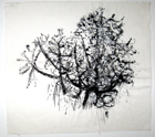 Untitled-Bush