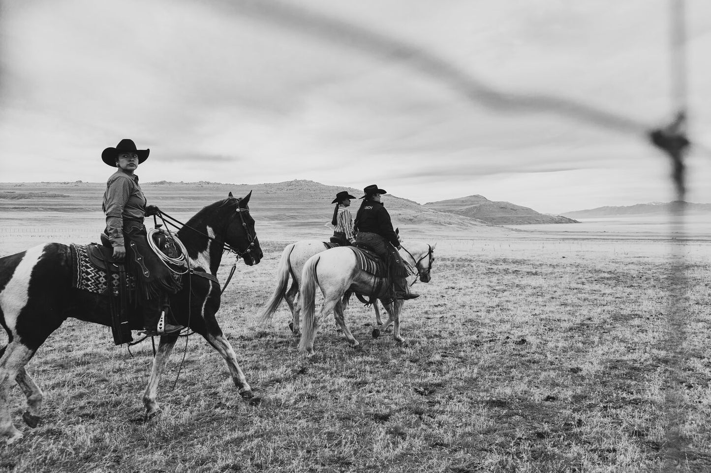 Way of Life (Partitioned Landscapes)