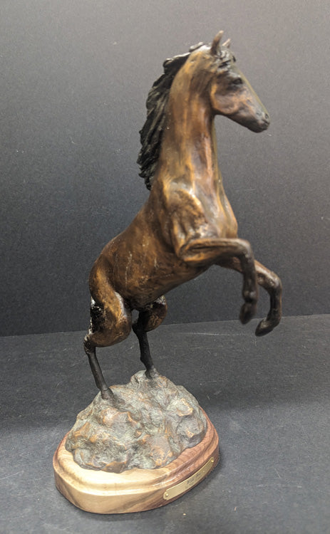 Wild One 56 - 15 x 8 x 7