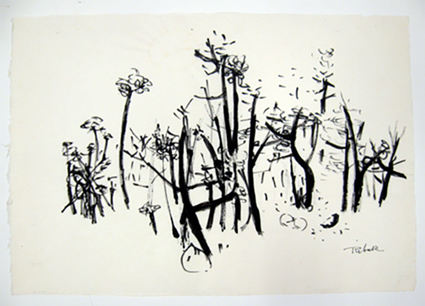 untitled (Horizontal Plants 2)