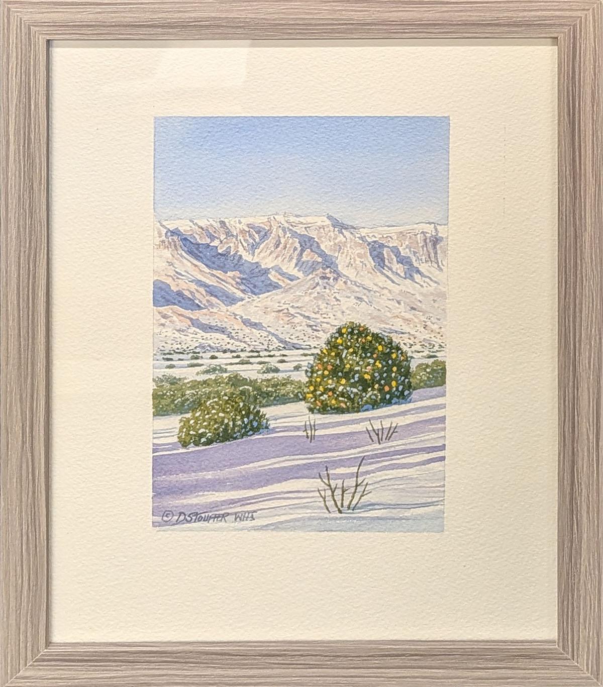 325 Christmas in Sandia Heights