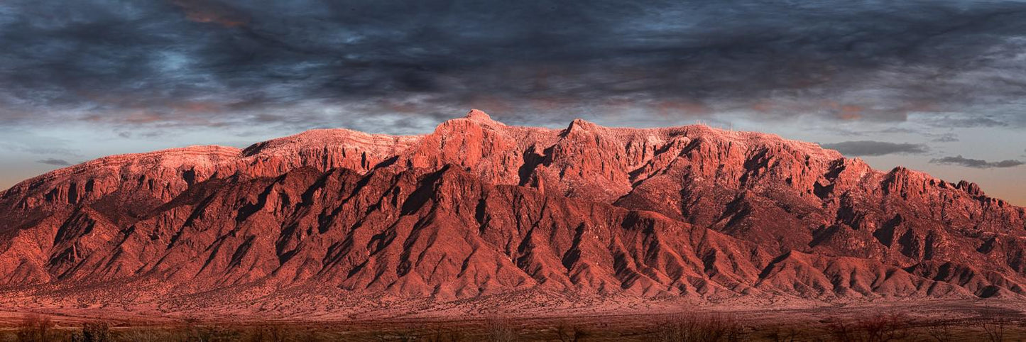Sandias January 2022