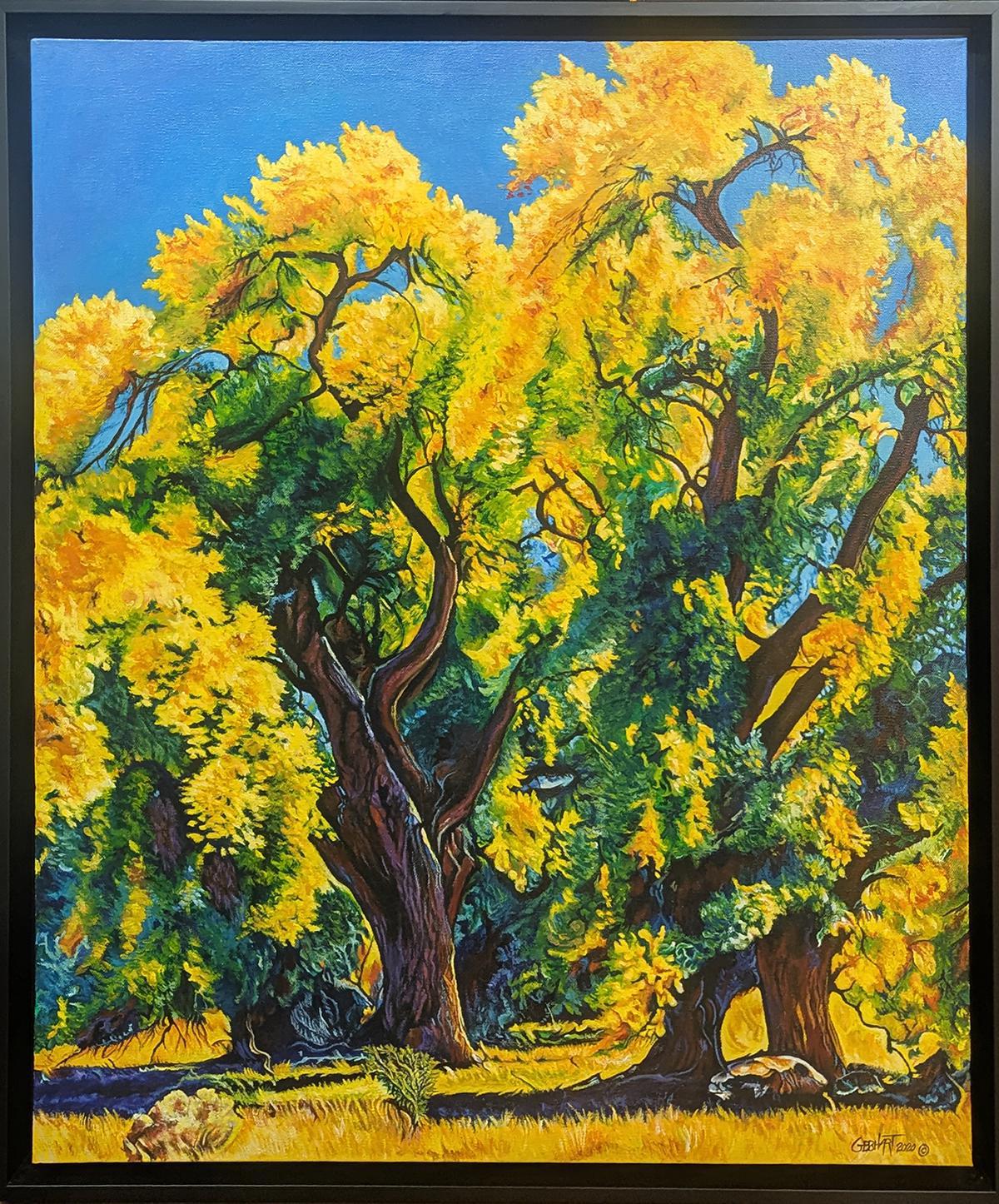 73 Cottonwood of La Cienega