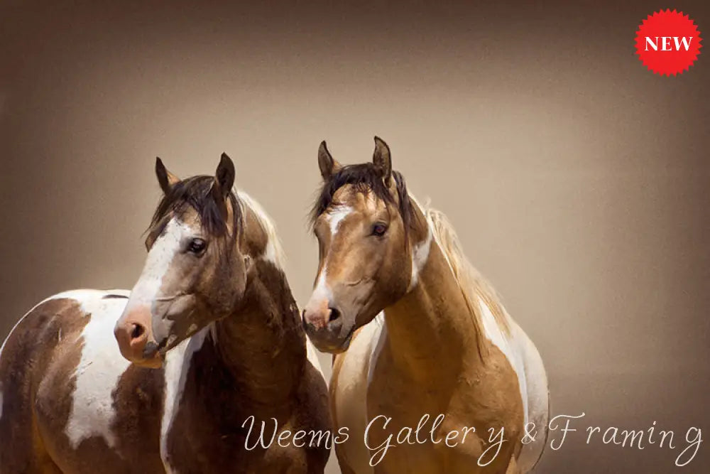 The Pinto Brothers 48 Photography