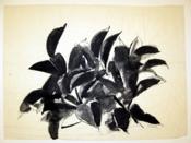 Untitled Dark Leaves rubber plant by Louis Ribak