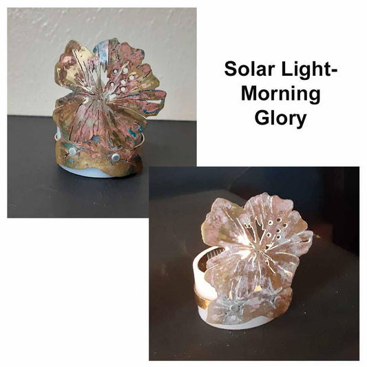 210 Solar Silhouette- Morning Glory