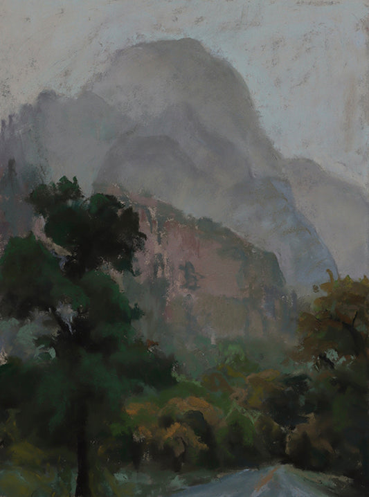 A Misty Day in Zion I 146