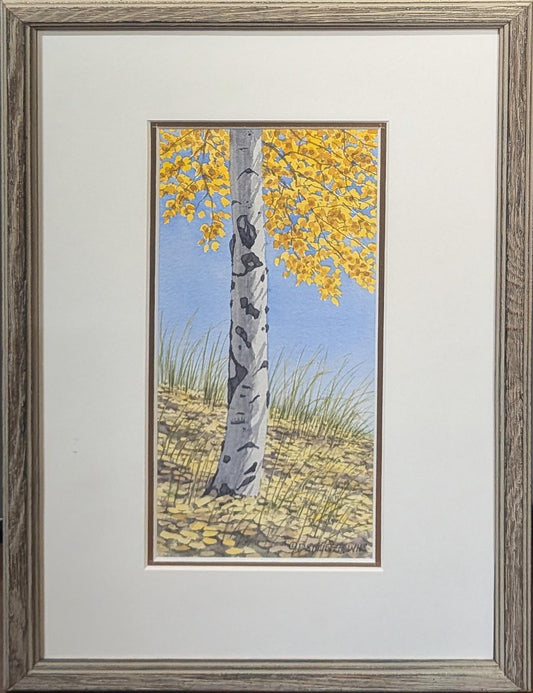 341 Aspen at Twin Lakes