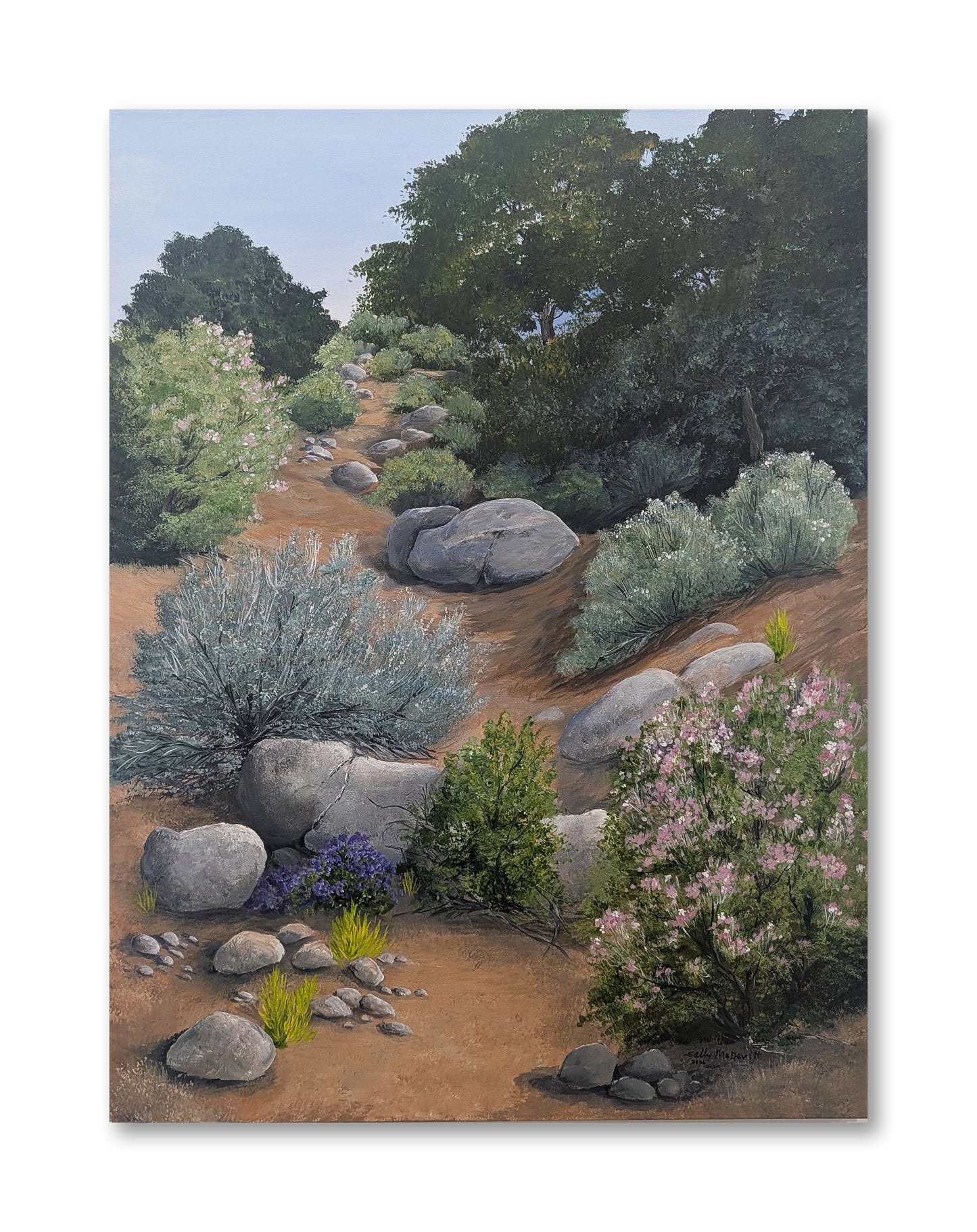 An Arroyo in Elena Gallegos Trailhead