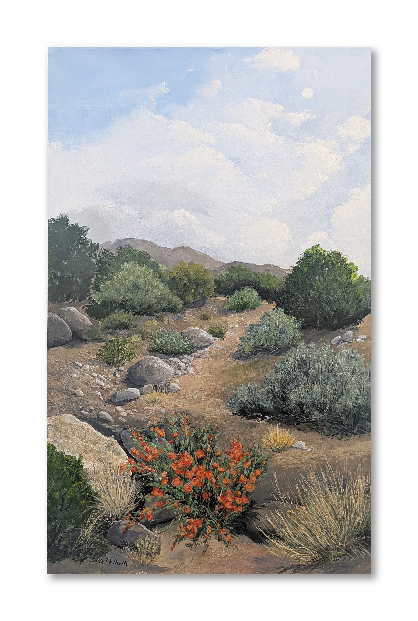 A Niche for Globemallows