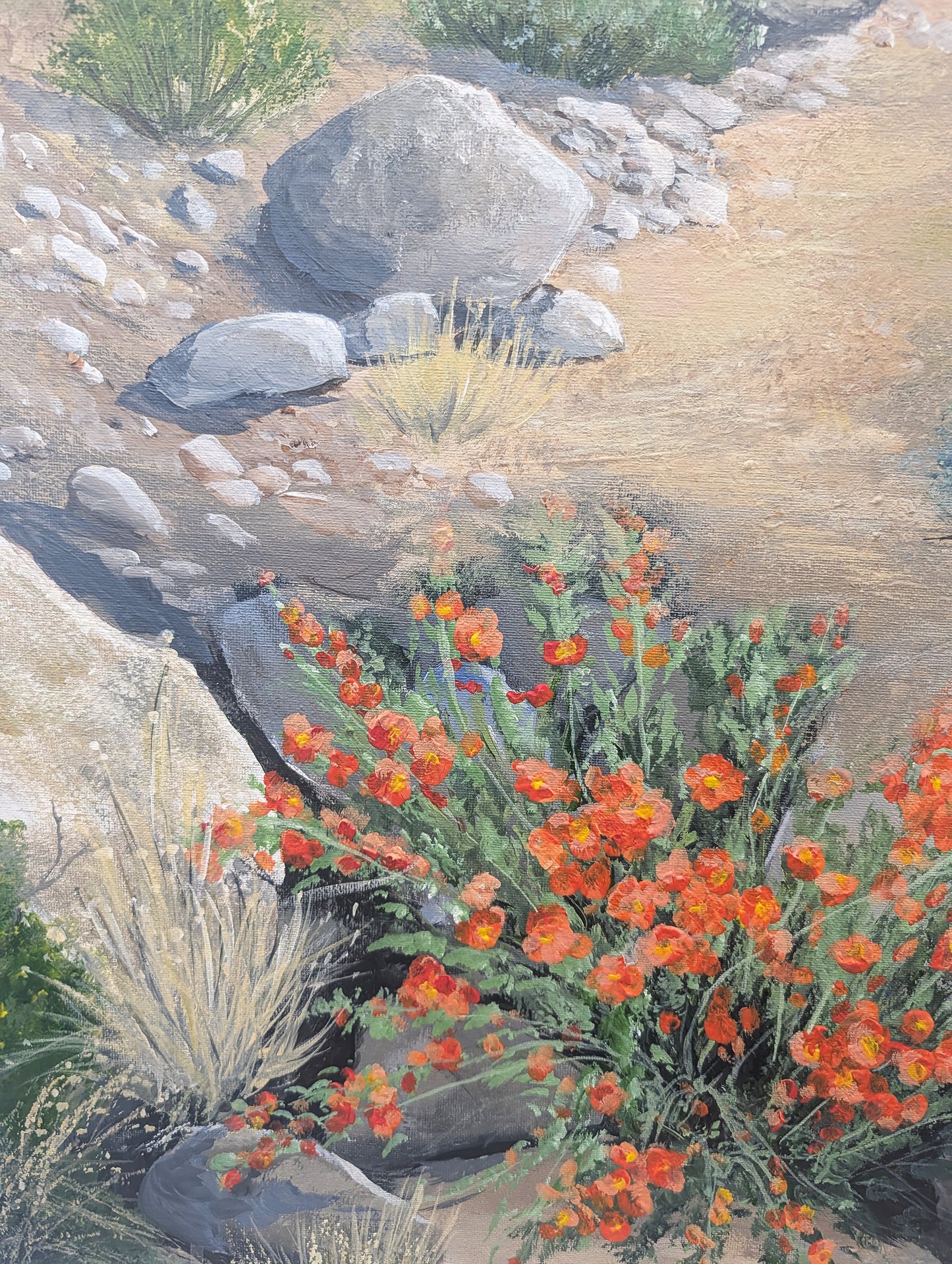 A Niche for Globemallows