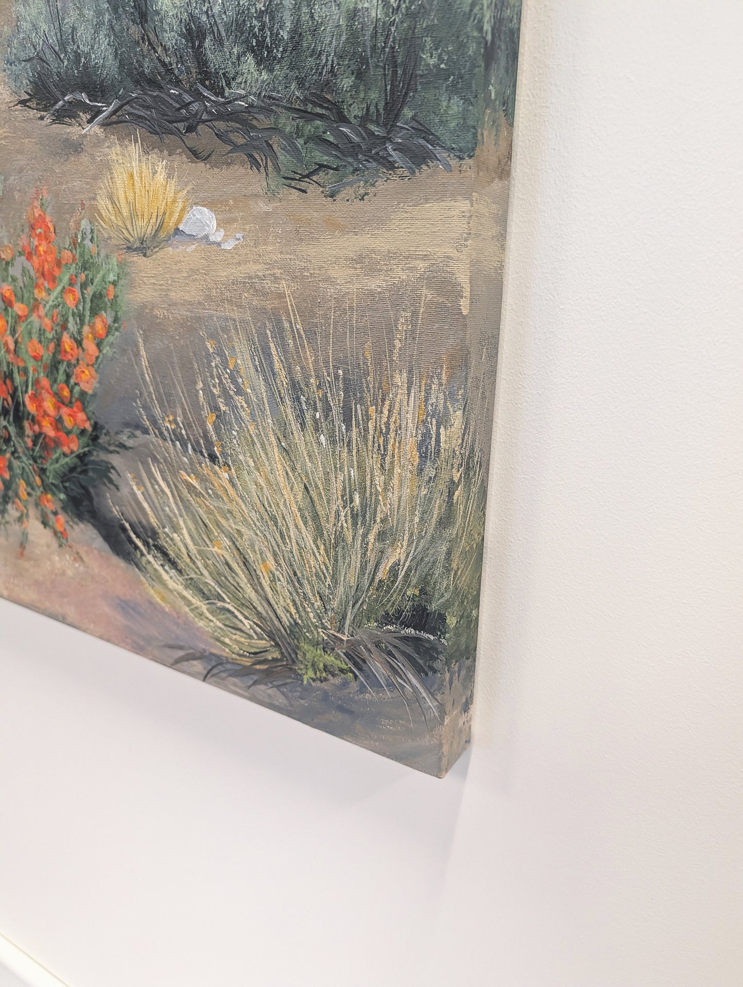 A Niche for Globemallows