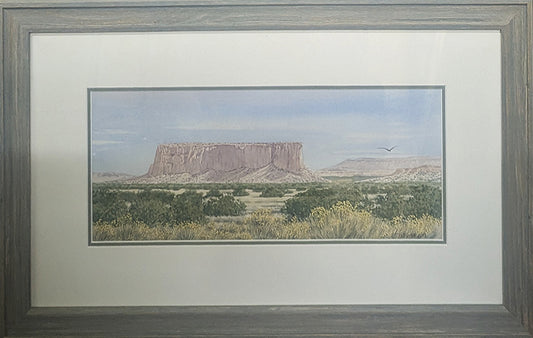 The Enchanted Mesa 254