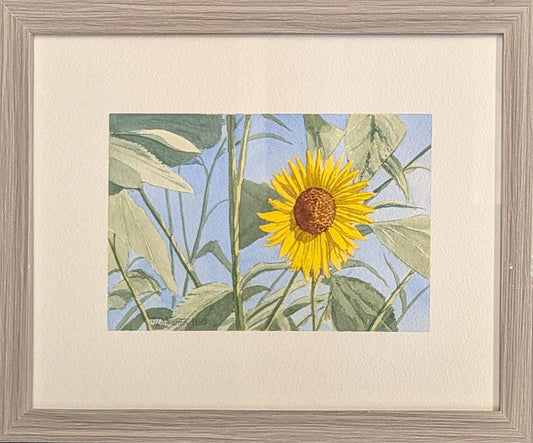 328 Backyard Sun Flower