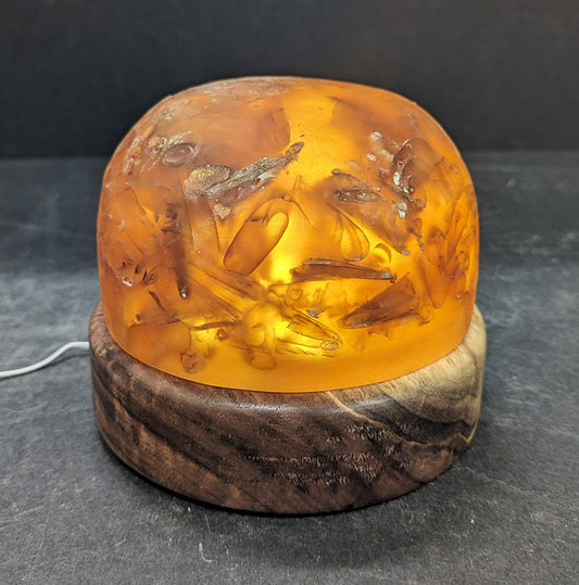 Walnut Night light 31