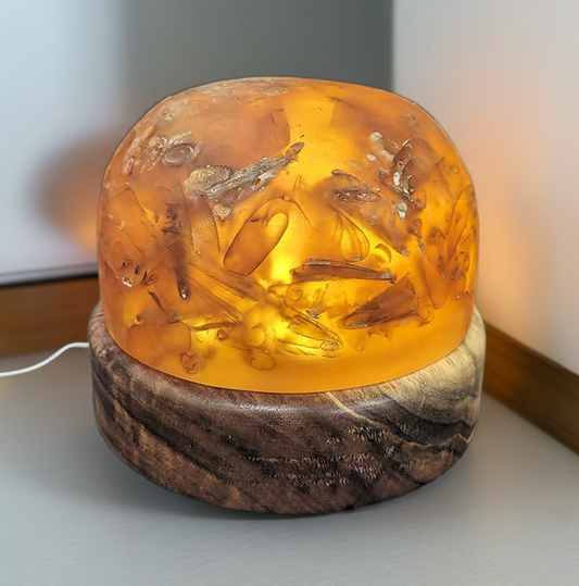 Walnut Night light