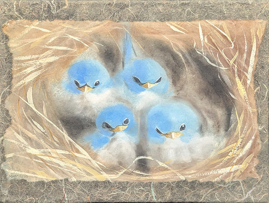 339 4 Baby Bluebirds