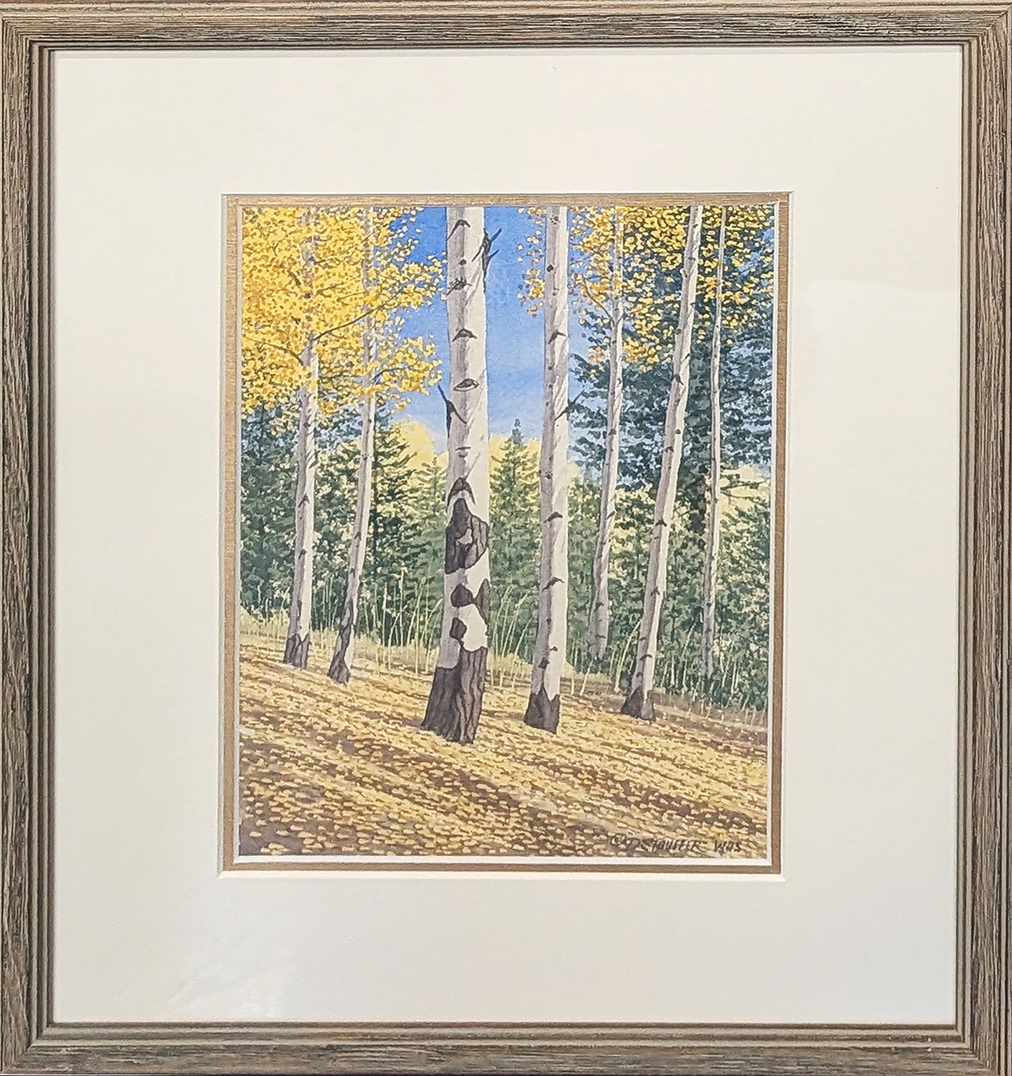 Leaf Fall on the N. Rim