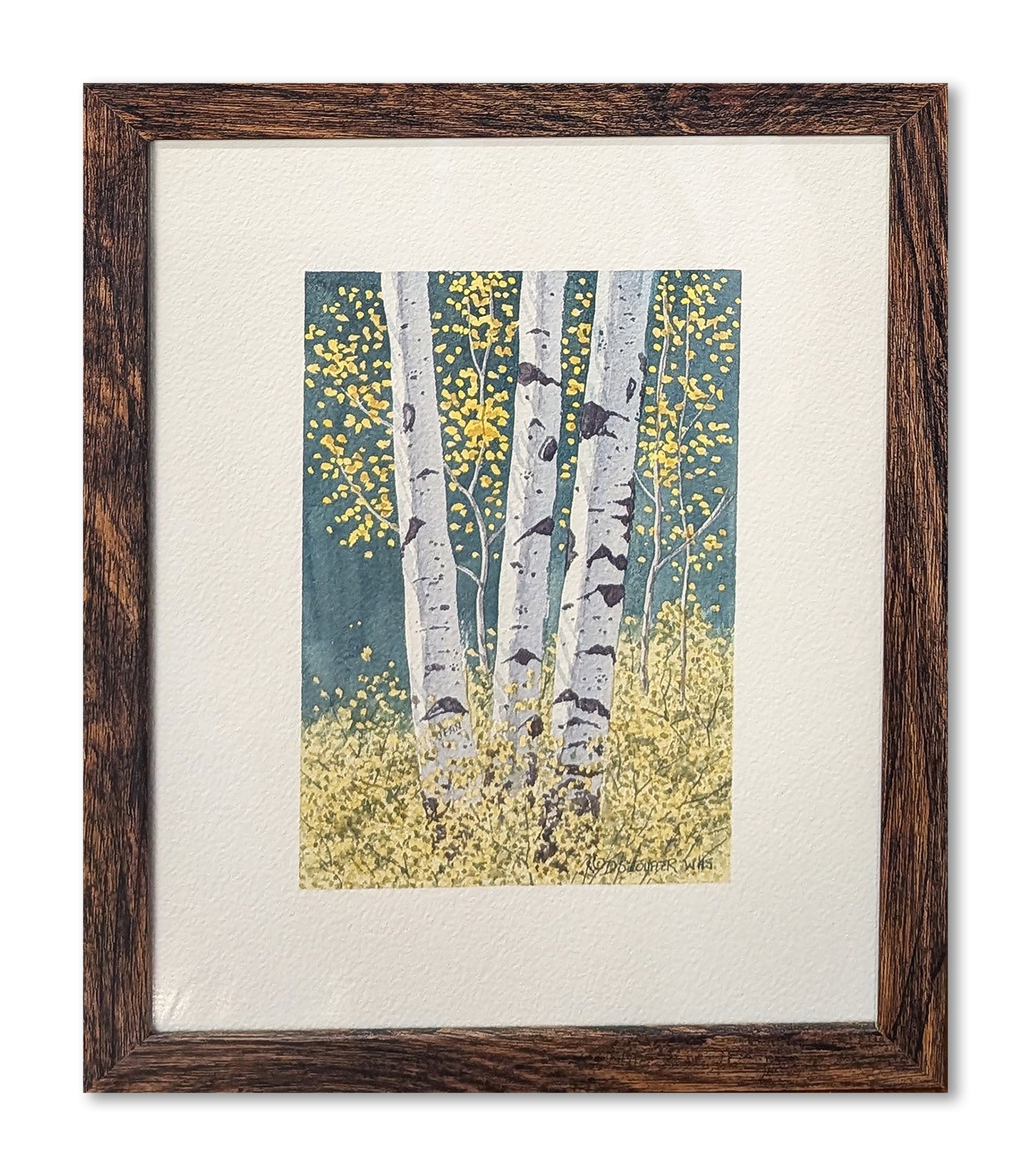 Aspen against the Forest