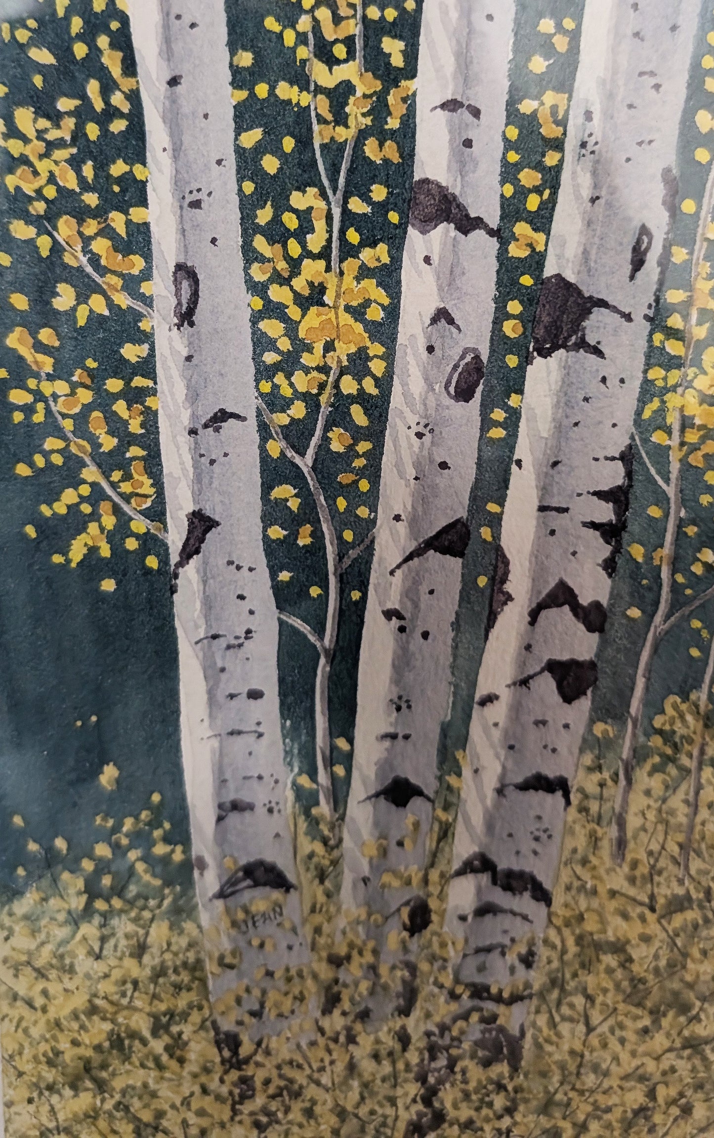 Aspen against the Forest