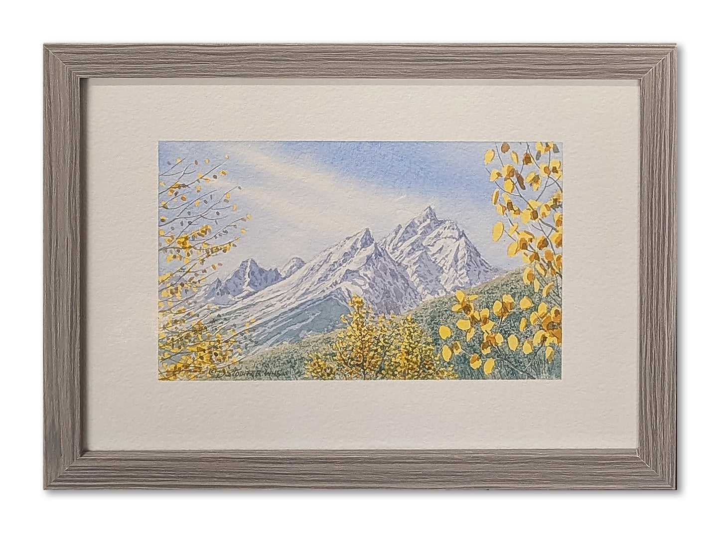 Tetons, from the Ridge