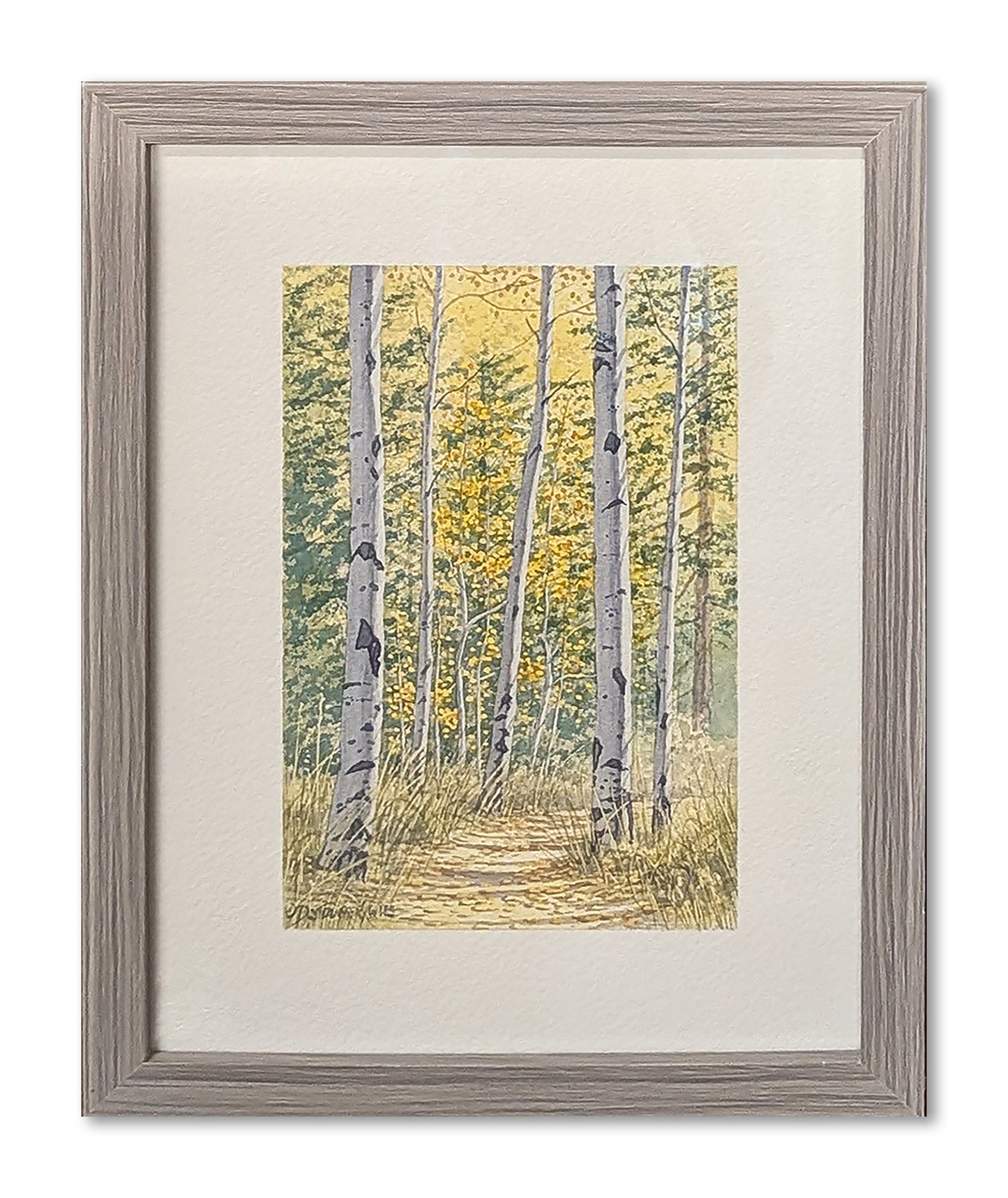 Crest Trail, near Kiwanis Point