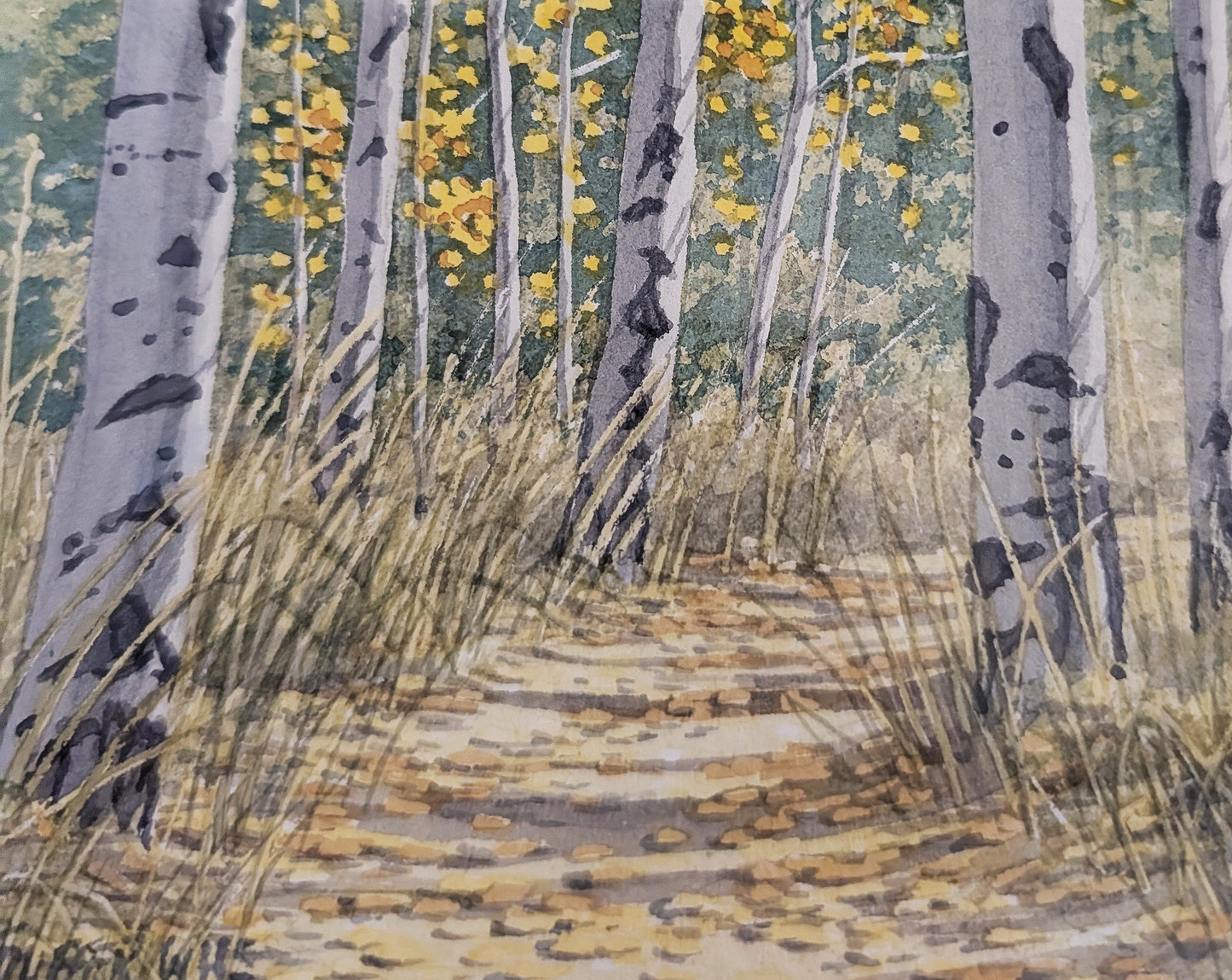 Crest Trail, near Kiwanis Point