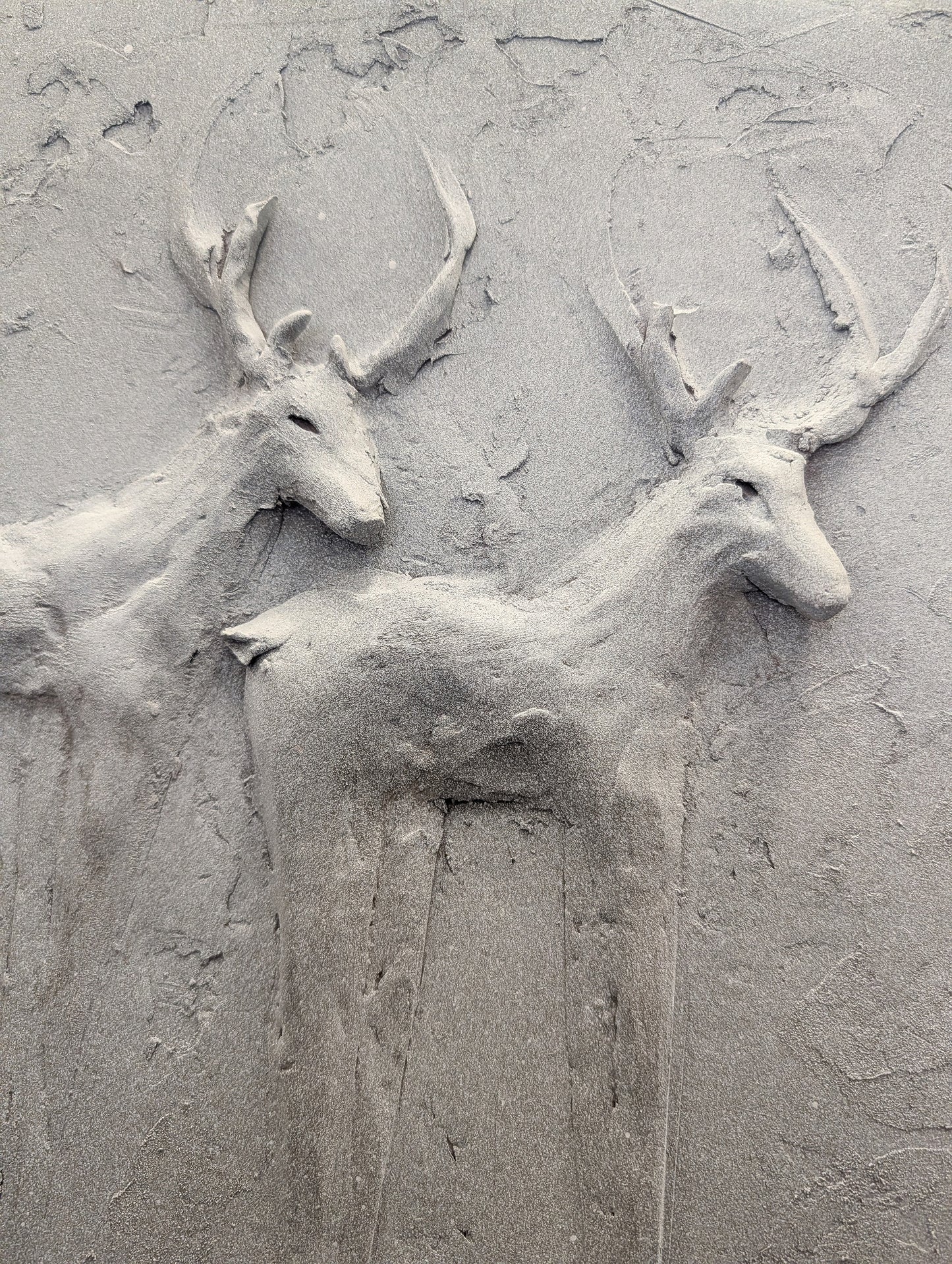 Deer in Winter