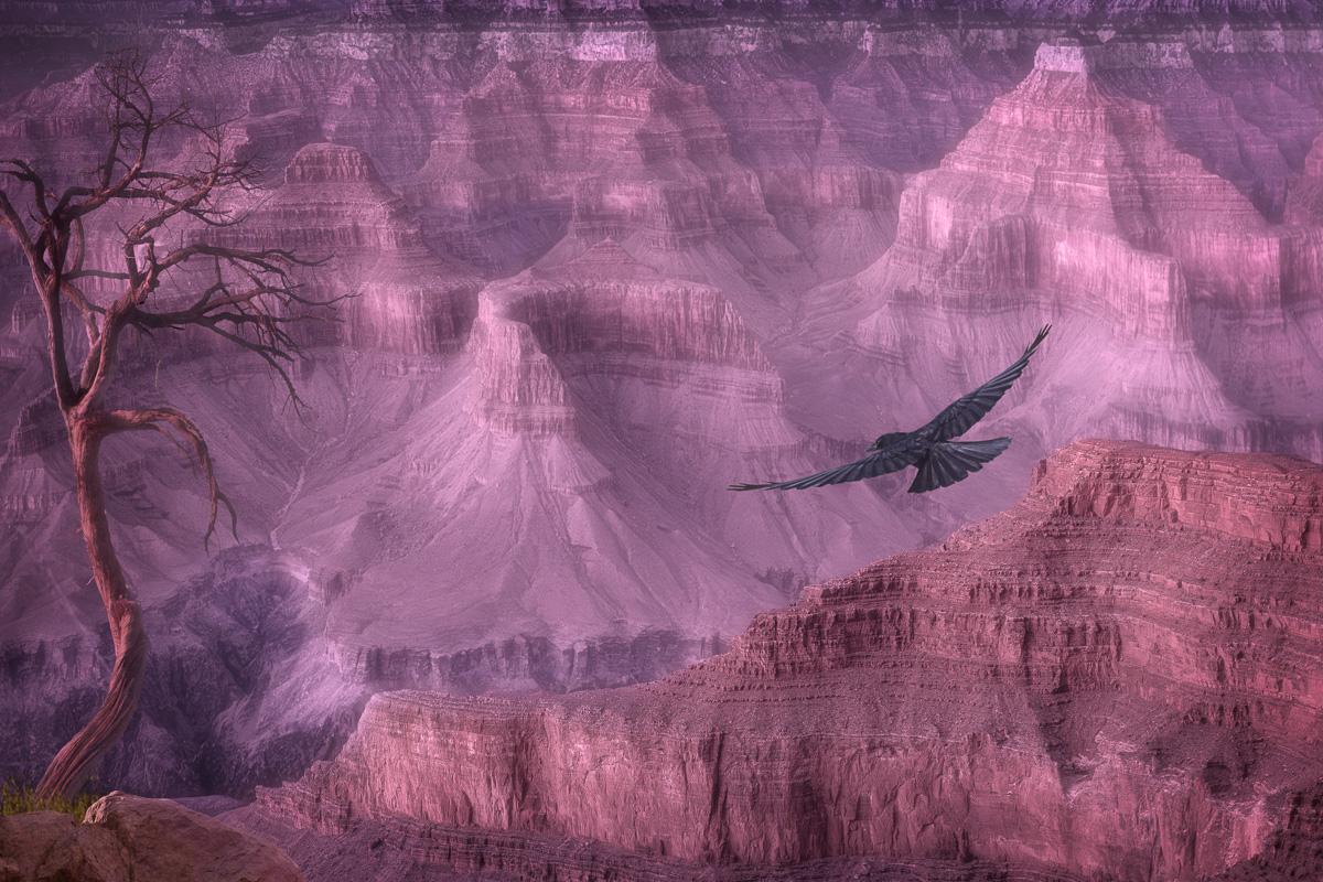 1300 The View from Here