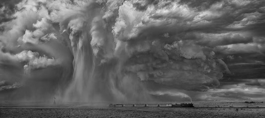 1293 Racing the Rain