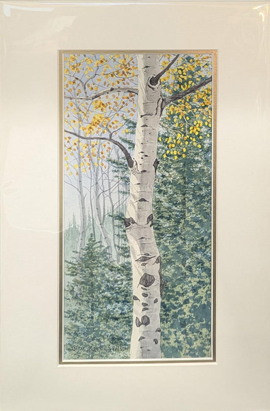 317 Aspen Near Forest's Edge